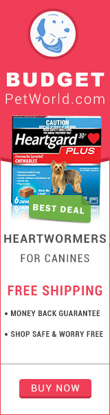 Heartgard Plus is a popular monthly treatment to control heartworm infection and provides total protection against heartworm disease to dogs.