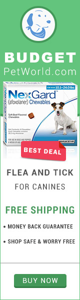 Nexgard is a soft beef-flavored chews that kills fleas and ticks
on your dog.
