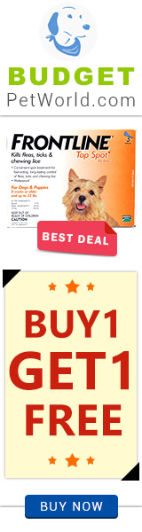 Frontline Top Spot is an effective flea and tick preventive for canines. his affordable treatment kills almost 100% fleas in 24 hours of application and takes 48 hours to eliminate 100% ticks from the dog’s body.