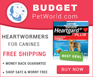 Heartgard Plus is a popular monthly treatment to control heartworm infection and provides total protection against heartworm disease to dogs.