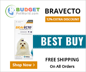 Bravecto is an innovative first flea and tick control oral chew for dogs. The tasty chew offers total protection from flea and ticks for over 12 full weeks.
