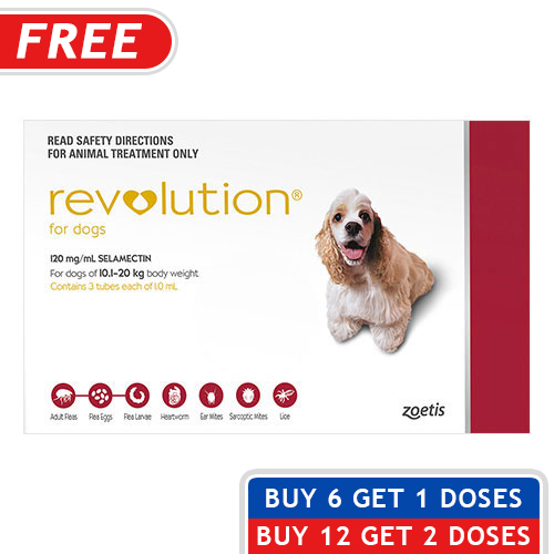 Revolution for Dogs Revolution Flea & Heartworm Control for Dogs