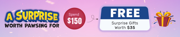 Offer Sale Banner
