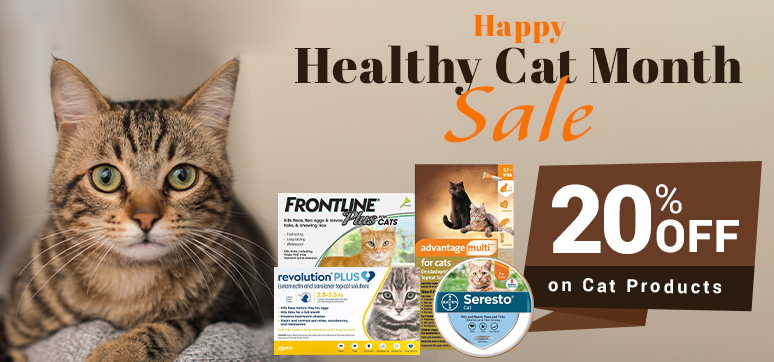 Budget Pet World - 25% OFF Cat Month Sale! Use Coupon!