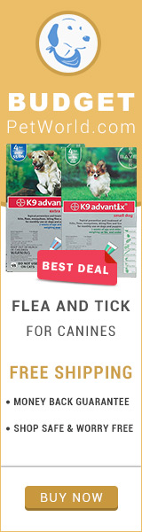 K9 Advantix is a spot-on preventive that combats efficiently against multiple parasites including fleas and ticks.