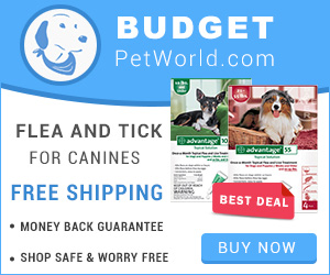 Advantage is an efficient flea preventive for canines. This topical solution provides complete protection to dogs against adult fleas, flea larvae and chewing lice.