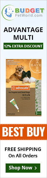 Advantage Multi, also known as Advocate kills and controls fleas, heartworms, gastrointestinal worms. This topical solution is easy to apply and safe for adult canines and puppies older than 7 weeks of age.