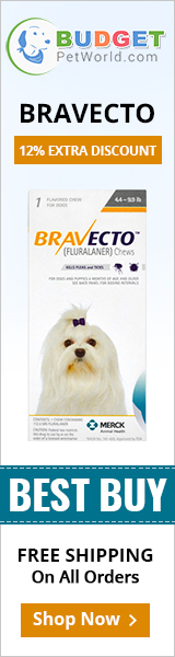 Bravecto is an innovative first flea and tick control oral chew for dogs. The tasty chew offers total protection from flea and ticks for over 12 full weeks.