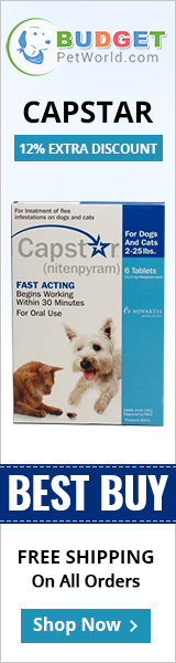 Capstar is the fastest oral flea treatment that kills adult fleas on dogs. It starts acting in 30 minutes of application and destroys almost 100% adult fleas within 5-7 hours of administration.