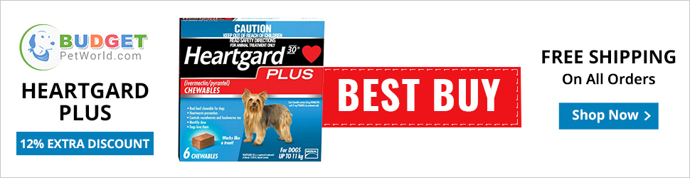 Heartgard Plus is popular monthly treatment to control heartworm infection and provide total protection against heartworm disease to dogs. The tasty flavored chew is effective in eliminating hookworm and roundworm from dog’s system.