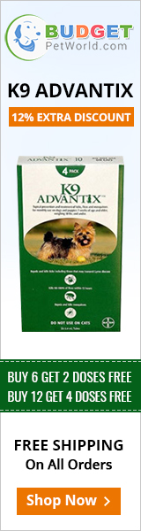 K9 Advantix is a spot-on preventive that combats efficiently against multiple parasites including fleas and ticks.
