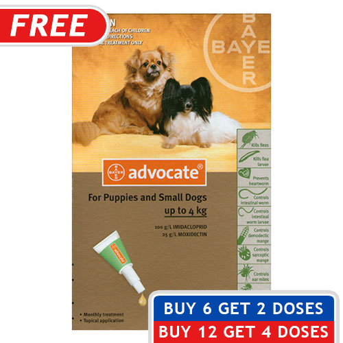 Advantage Multi (Advocate) For Dogs Buy Advantage Multi Heartworm