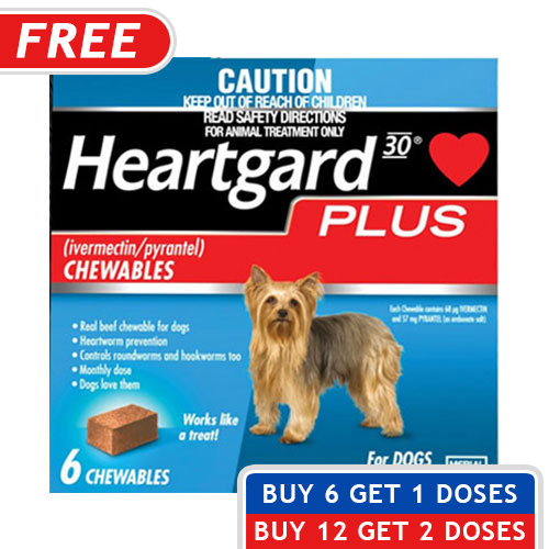 Heartgard Plus Flea Protection