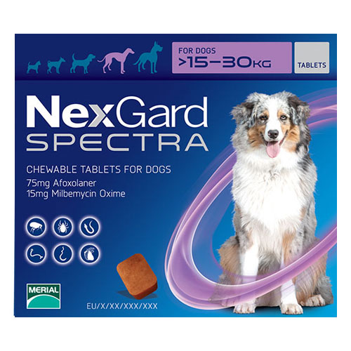 Nexgard Spectra for Dogs : Fleas, Ticks 