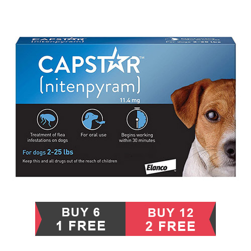 Capstar For Dogs | Buy Capstar Flea Treatment | Free Shipping- BudgetPetWorld